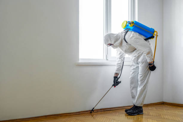 Best Best Pest Control Near Me  in New Cassel, NY
