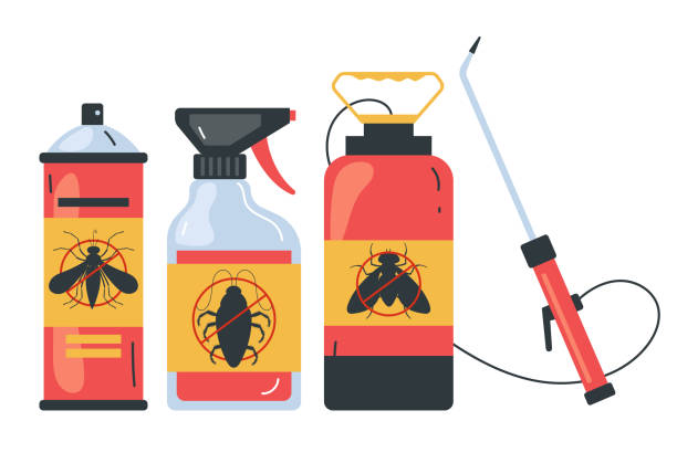 Best Spider Control Near Me  in New Cassel, NY