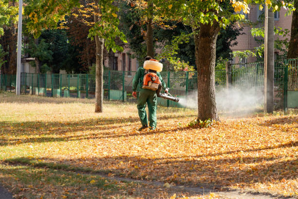 Best Pest Control Near Me in New Cassel, NY