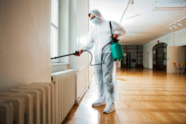 Trusted New Cassel, NY Pest Control Experts